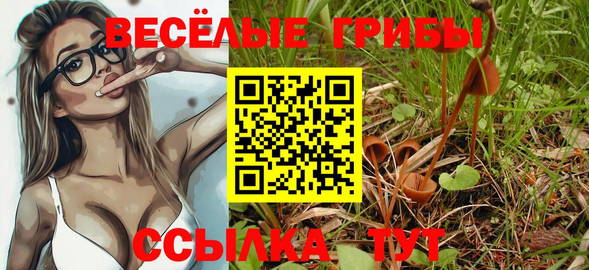 Мыски  Псилоцибиновые грибы прущие грибы  Вход с VPN 